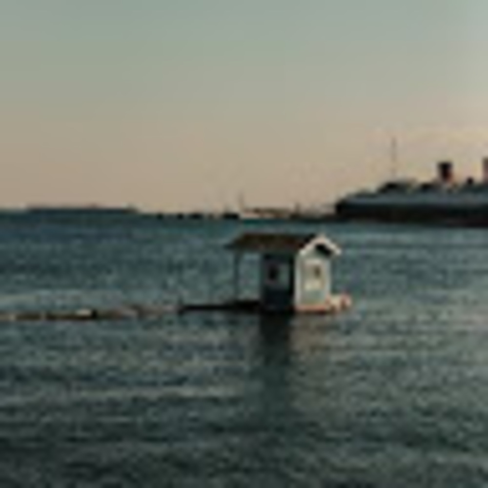 Meet your Posher, Hector